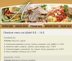Ukážka obedového menu na webstránke